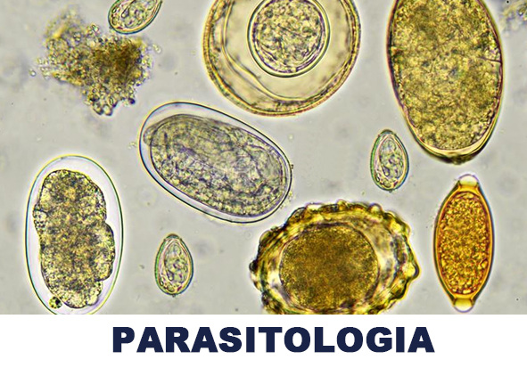 06 - PARASITOLOGIA